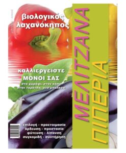 Μελιτζάνα - Πιπεριά - Βιολογικός λαχανόκηπος